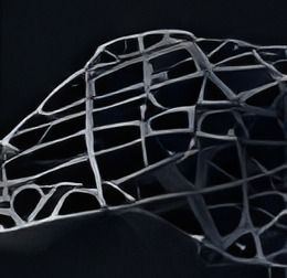 Estructura reticulada impresa en PETG